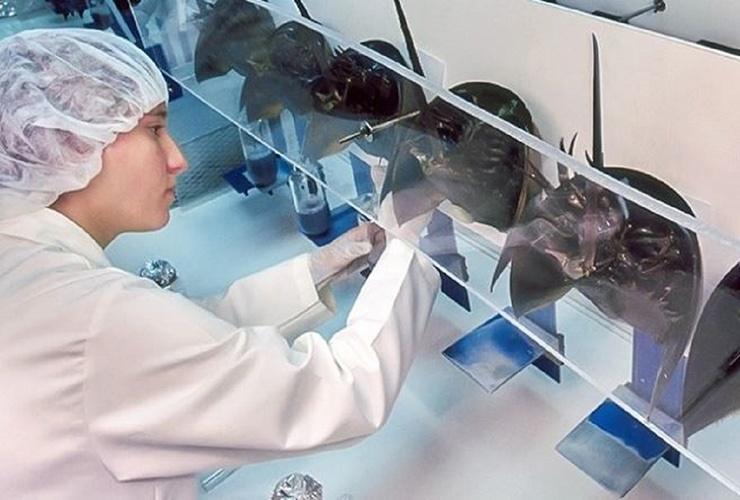 Loài hải sản sắp tuyệt chủng, máu của chúng giá hàng trăm triệu/lít-7