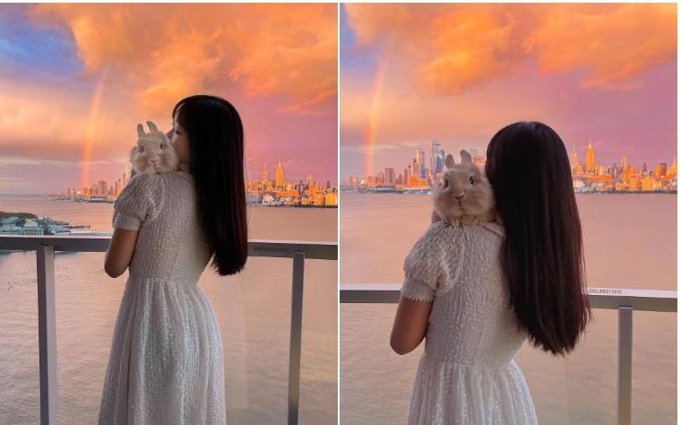 Chú thỏ nổi tiếng rần rần sau chuyến vi vu nước Mỹ cùng cô chủ-3