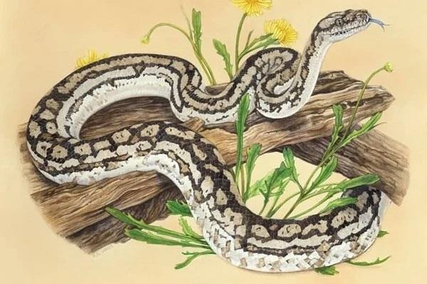 3 tuổi phạm Thái Tuế nặng nhất 2023, tiền của đội nón ra đi-4