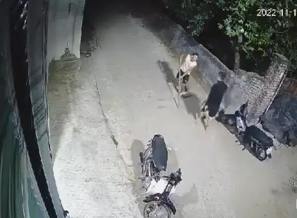 Lai lịch bất hảo kẻ đâm chủ nhà trúng phổi khi bị nhắc tiểu bậy-2