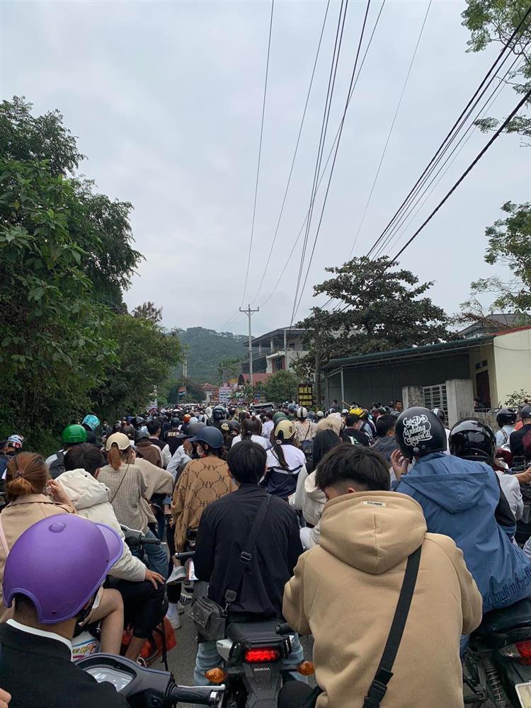 Vườn quốc gia Ba Vì tắc nghẽn vì dòng người ngắm hoa dã quỳ-1