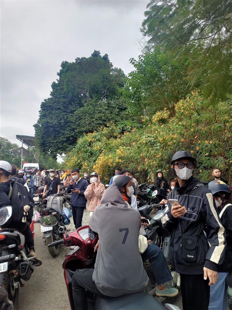 Vườn quốc gia Ba Vì tắc nghẽn vì dòng người ngắm hoa dã quỳ-2