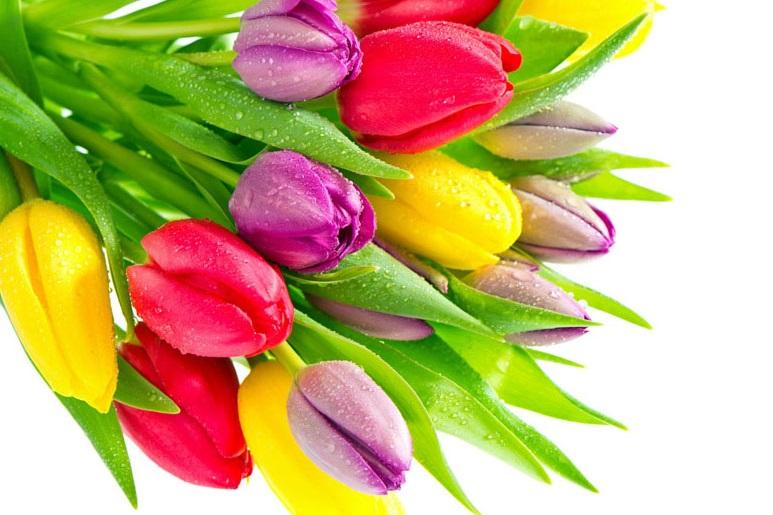 Bé gái có giờ sinh này được ví như viên ngọc quý của gia đình-3