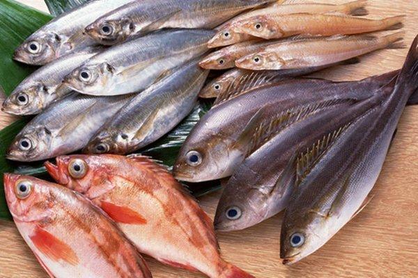 Cá rất tốt nhưng 3 nhóm người này không nên đụng đũa, tránh rước họa vào thân-2