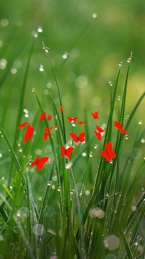 4 chòm sao hại người bằng dao hai lưỡi nhờ giỏi thao túng tâm lý-4