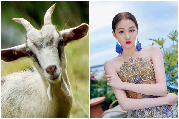 Ngày 23/11 năng nhặt chặt bị, 3 tuổi ra trái có vàng, vào phải có bạc-4