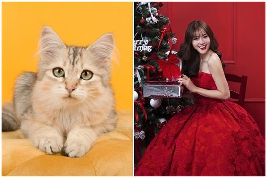 Tử vi hàng ngày 12 con giáp Chủ Nhật 27/11/2022: Nhìn xa trông rộng