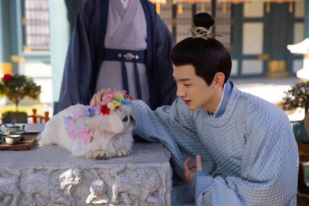 3 anh chồng màn ảnh: Hứa Khải cute, Bạch Kính Đình hề hước-9