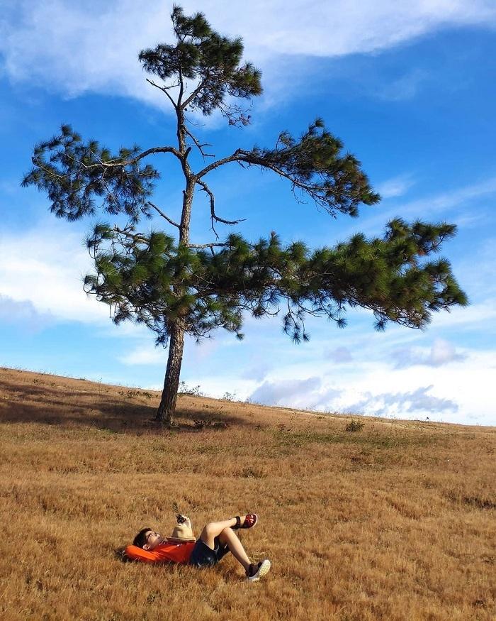 Dân mạng bức xúc vì đồi cỏ hồng ở Đà Lạt bị khách xả đầy rác-2