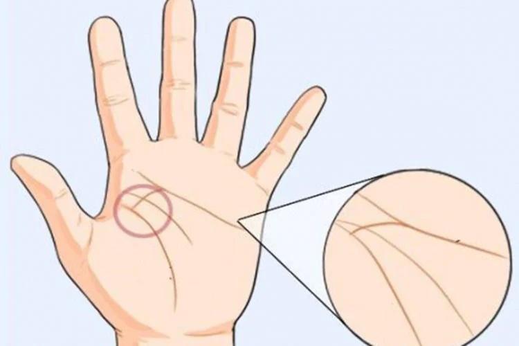 Phụ nữ có đường chỉ tay cả đời giàu có, phú quý vinh hoa-3