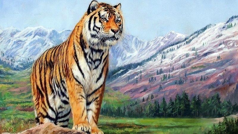 Ngày 25/11 thuận trời hợp đất, 4 tuổi đạp trúng hố chôn tiền-3