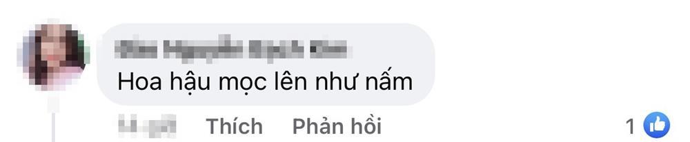 Thiên Ân, Phương Nhi chấm thi Hoa hậu, netizen: Còn hơi non-5