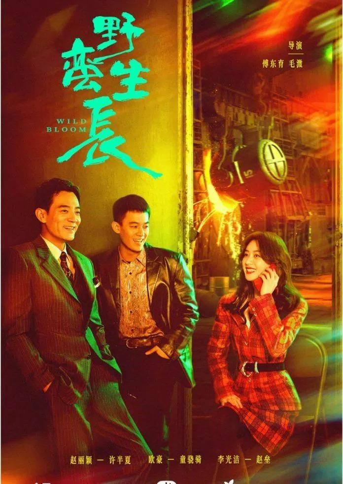 Phim của Triệu Lệ Dĩnh có thể thảm bại vì World Cup-3