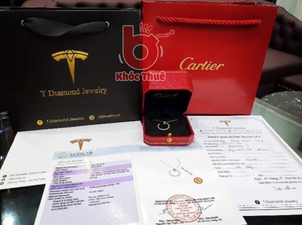 Giật mình với độ giàu có của hotgirl chia nhỏ 9,5kg ma túy vào bỉm trẻ em-16