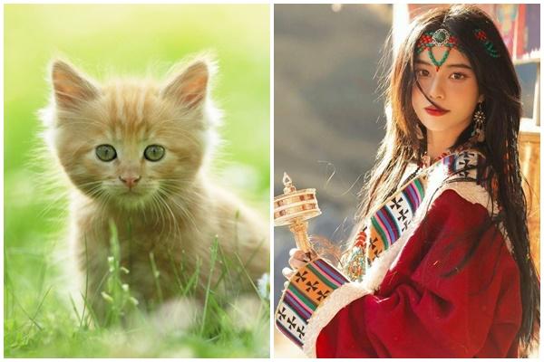 Tuần mới (28/11-4/12) chúc mừng 3 tuổi đại thành công, tình duyên thắm sắc-4