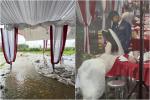 Cô dâu Nghệ An khóc thút thít vì đám cưới không có khách đến dự