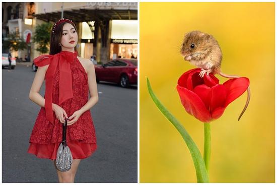 Tử vi hàng ngày 12 con giáp thứ Ba 29/11/2022: Hạnh phúc vô biên