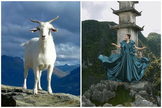 Tử vi hàng ngày 12 con giáp thứ Tư 30/11/2022: Ngồi mát ăn bát vàng