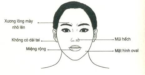 3 kiểu đàn bà chỉ mang lại đại họa cho đàn ông-1
