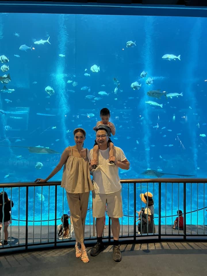 Lan Khuê đội lại vương miện 1 tỷ, nhan sắc ra sao sau 8 năm?-7