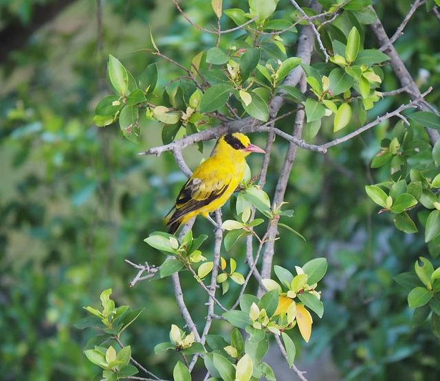Tháng 11 Âm lịch, 4 con giáp đón mùa đông sung túc, lộc rủng rỉnh-3