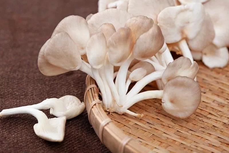 5 thực phẩm dễ ngộ độc chết người nếu không chế biến kỹ-2