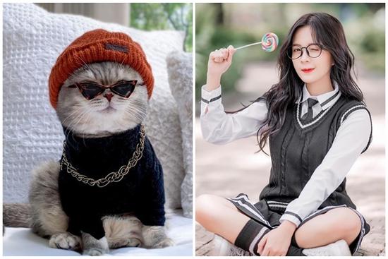 Tử vi hàng ngày 12 con giáp thứ Năm 1/12/2022: Họa từ miệng ra