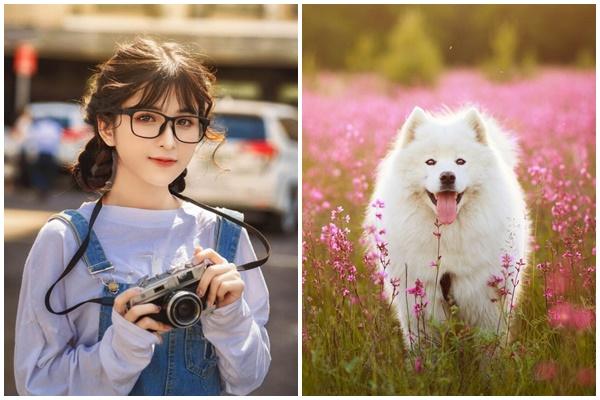 Cuối năm, xem vận may của 12 con giáp-2