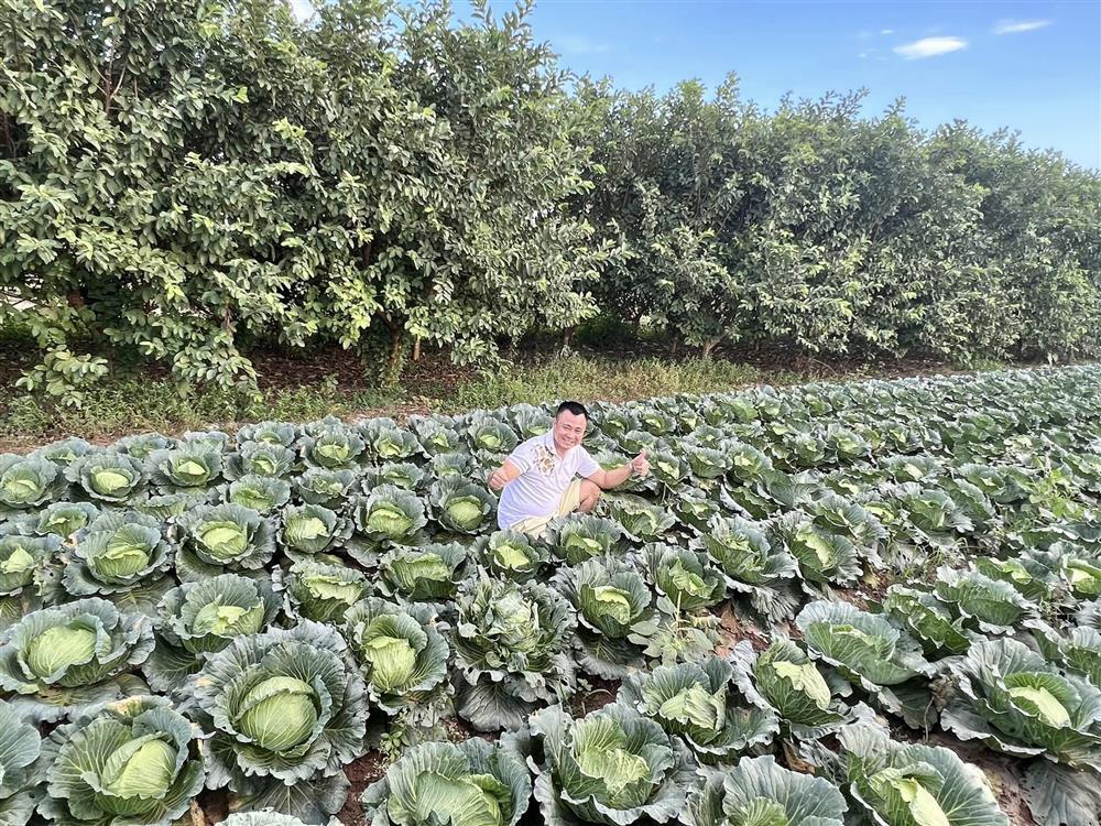 Tin showbiz Việt ngày 27/11: Hương Tràm đưa bố mẹ khám phá Mỹ-10