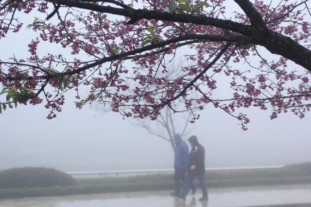 Hứng đợt không khí lạnh mạnh, miền Bắc có nơi dưới 5 độ C-1