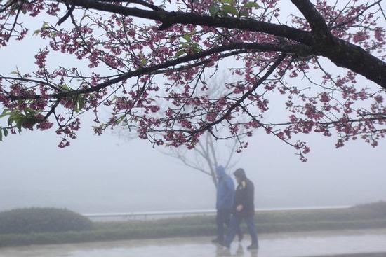 Hứng đợt không khí lạnh mạnh, miền Bắc có nơi dưới 5 độ C