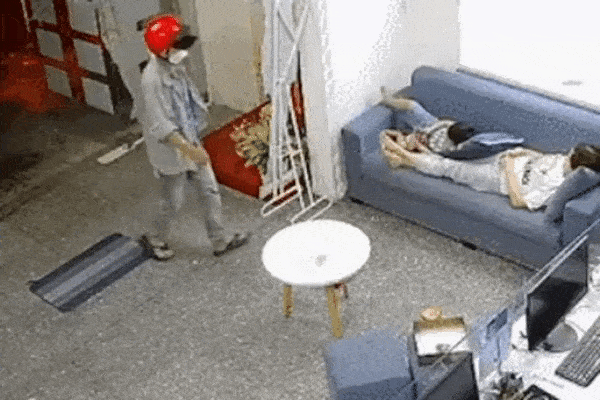 Các em bé Mèo Con chào đời trong khoảnh khắc giao thừa-4