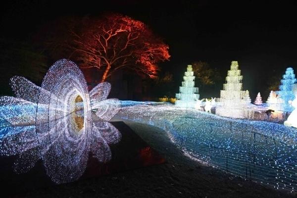 Mang thùng xốp, chậu đến rạp phim lấy bỏng ngô miễn phí-1