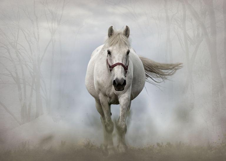 Đức năng thắng số: 4 tuổi giàu kếch sù trong năm 2023-3