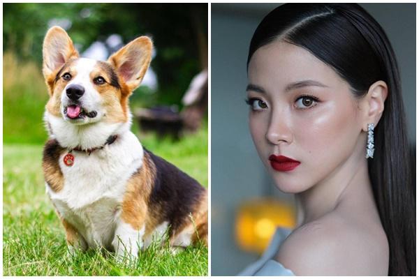 Tháng 12 tháng chót, vận lọt, 3 tuổi rũ bùn đứng dậy sáng lòa-4