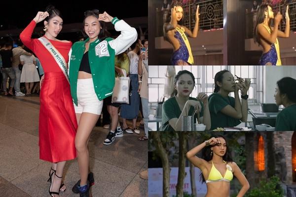 Mai Ngô xuất hiện khác lạ, bị nghi phẫu thuật thẩm mỹ-4