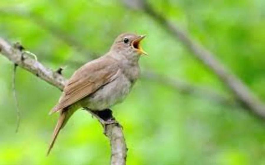 Ngôi nhà có 3 dấu hiệu phát tài viên mãn, 2 điềm báo hung hạn-1