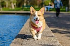 Ngôi nhà có 3 dấu hiệu phát tài viên mãn, 2 điềm báo hung hạn-2