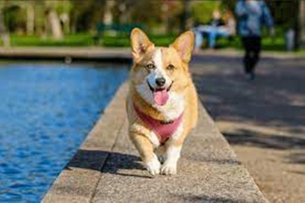 Nhà đẹp chưa chắc tốt, bí quyết vàng mua nhà hợp phong thủy-4