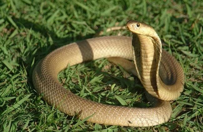 Ngày 1/12 rối như tơ vò: 3 tuổi gặp bất lợi, trục trặc liên miên-2