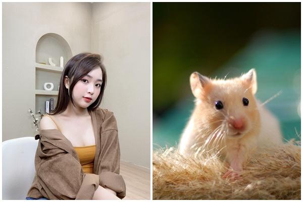 4 tuổi xứng danh chúa kiêu ngạo con nhà lính, tính nhà quan-5