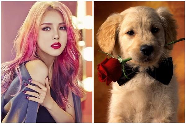 Từ 15h ngày 2 - 5/12 mở nắp rương vàng, 3 tuổi gánh tiền mỏi vai-4