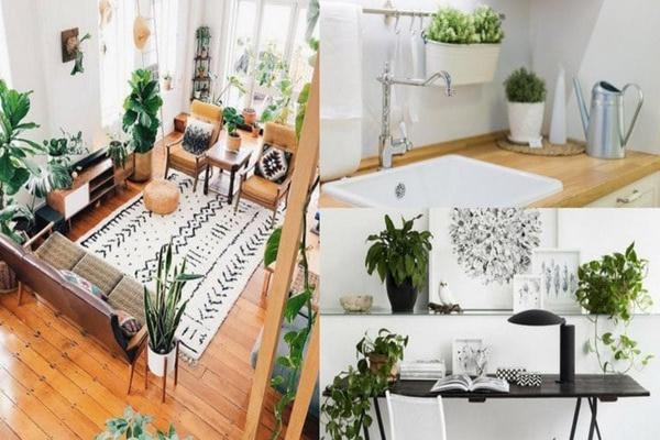 Muốn công thành danh toại, chớ bỏ qua một mẹo phong thủy-3