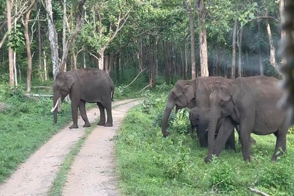 Du khách thức dậy trong phòng khách sạn ngập nước ở Phuket-3