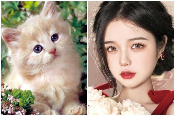 Cuối tuần (2 - 3/12): 3 tuổi vận đen đủi ra mất vàng, vào mất bạc-4