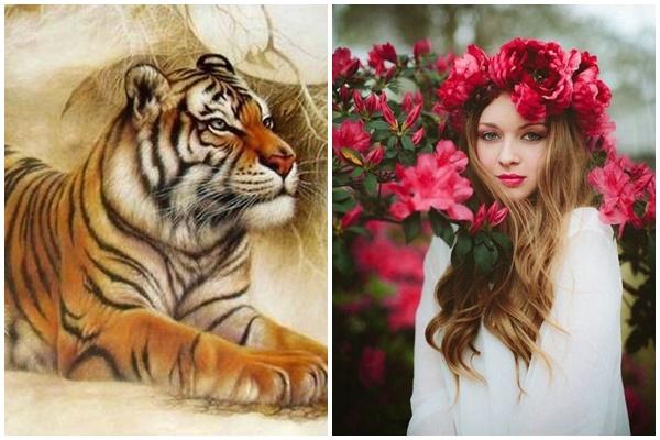 Tử vi hàng ngày 12 con giáp Chủ Nhật 4/12/2022: Giờ vàng ngã giá-4