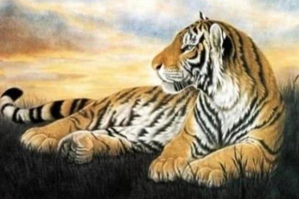 3 con giáp kiếm tiền chặt túi, Tết tha hồ sắm sửa-4