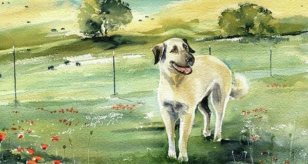 4 tuổi là con nhà Phật dễ trúng số đổi đời, giàu tột đỉnh 2 năm tới-2