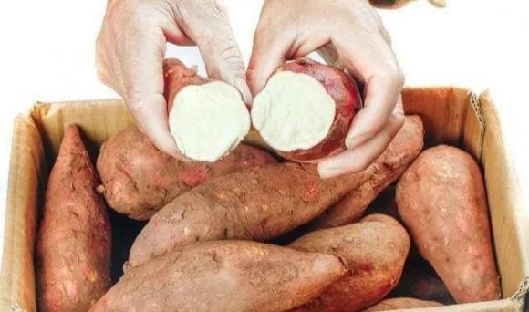 Hấp khoai lang, có khác biệt lớn giữa dùng nước lạnh hay nước sôi-2