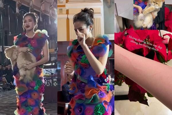 Đang chạy show, Đỗ Thị Hà phải vội cầu cứu bạn vì lịch thi-6